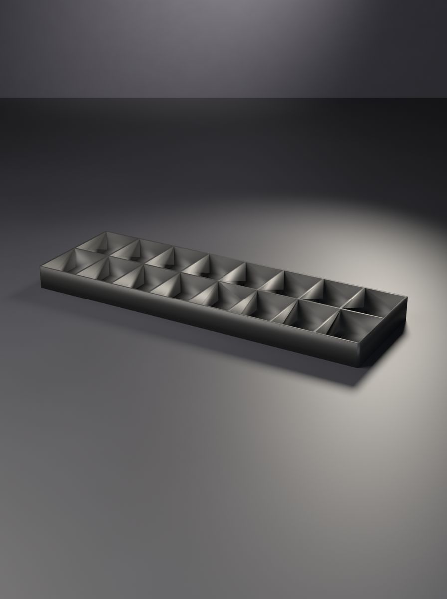 Açık Uzun Organizer Kutu (240 × 80 × 16 mm, 8 × 2 Gözlü)