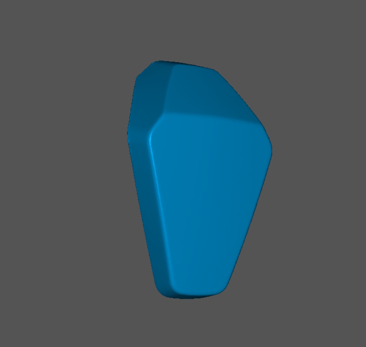 BMW S1000RR Kaplama Paneli 2