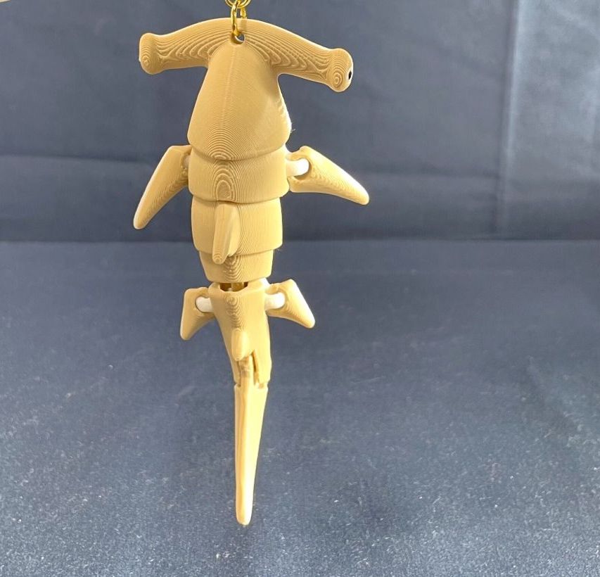 Eklemli Çekiç Köpekbalığı Yeni Tip (6-25 cm Boyut Seçenekli) görsel 4