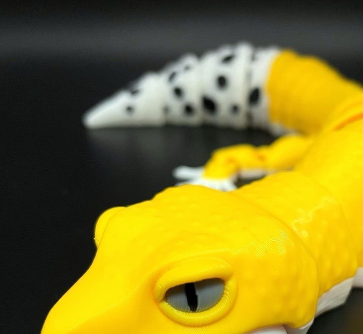 Eklemli Leopar Gekosu (6-25 cm Boyut Seçenekli)