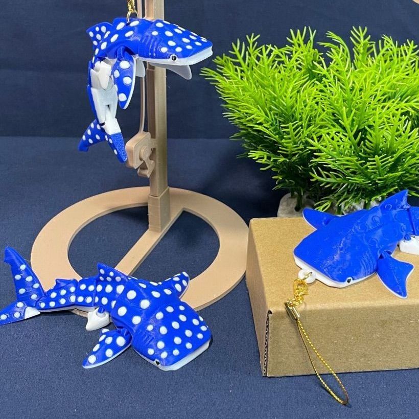 Mini Eklemli Balina Köpekbalığı (6-25 cm Boyut Seçenekli) görsel 3