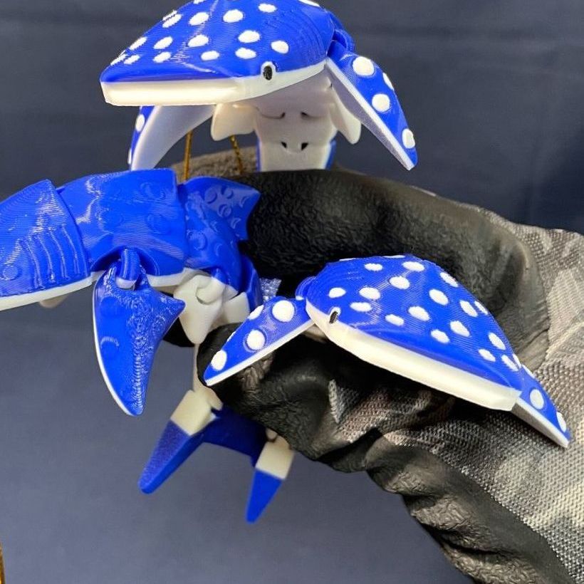 Mini Eklemli Balina Köpekbalığı (6-25 cm Boyut Seçenekli) görsel 4