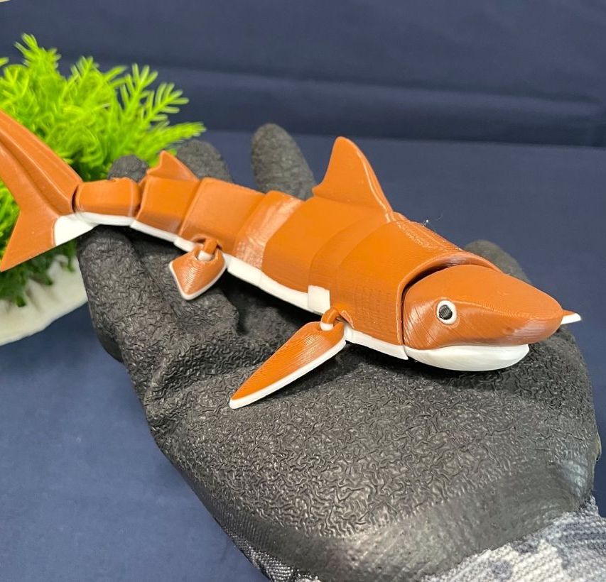 Eklemli Kaplan Köpekbalığı Seti (6-25 cm Boyut Seçenekli) görsel 3