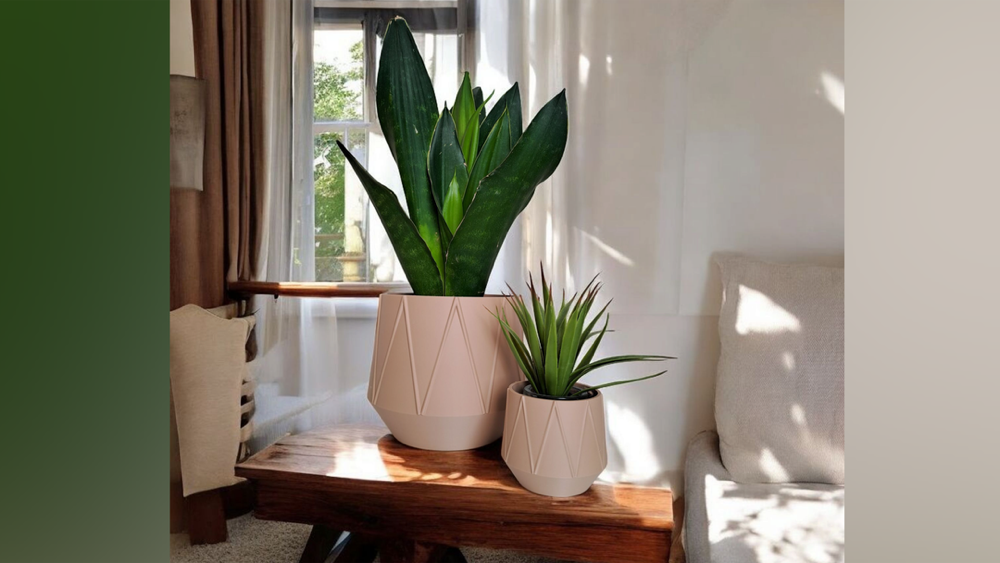 GeoBloom Modern Saksı