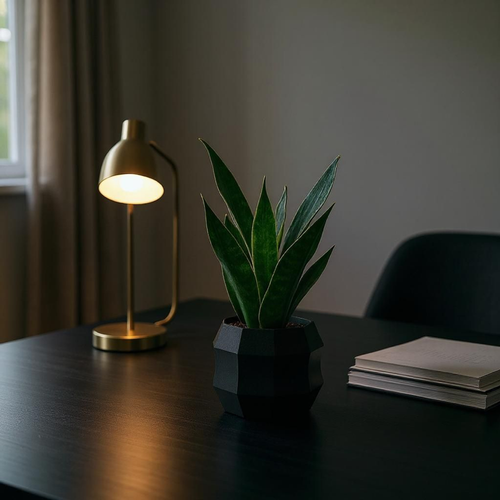 On Kenarlı Minimalist Saksı görsel 4