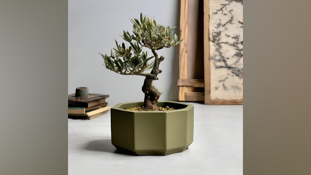Yassı Sekizgen Bonsai Saksısı