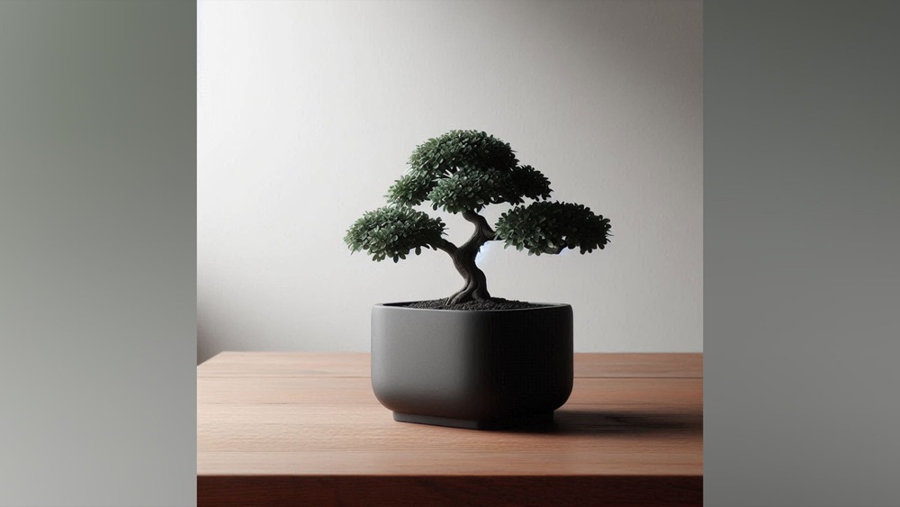 Kare Formlu Sade Bonsai Saksısı
