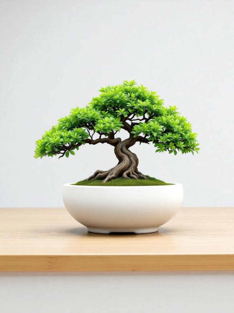 Minimalist Şık Bonsai Saksısı görsel 2