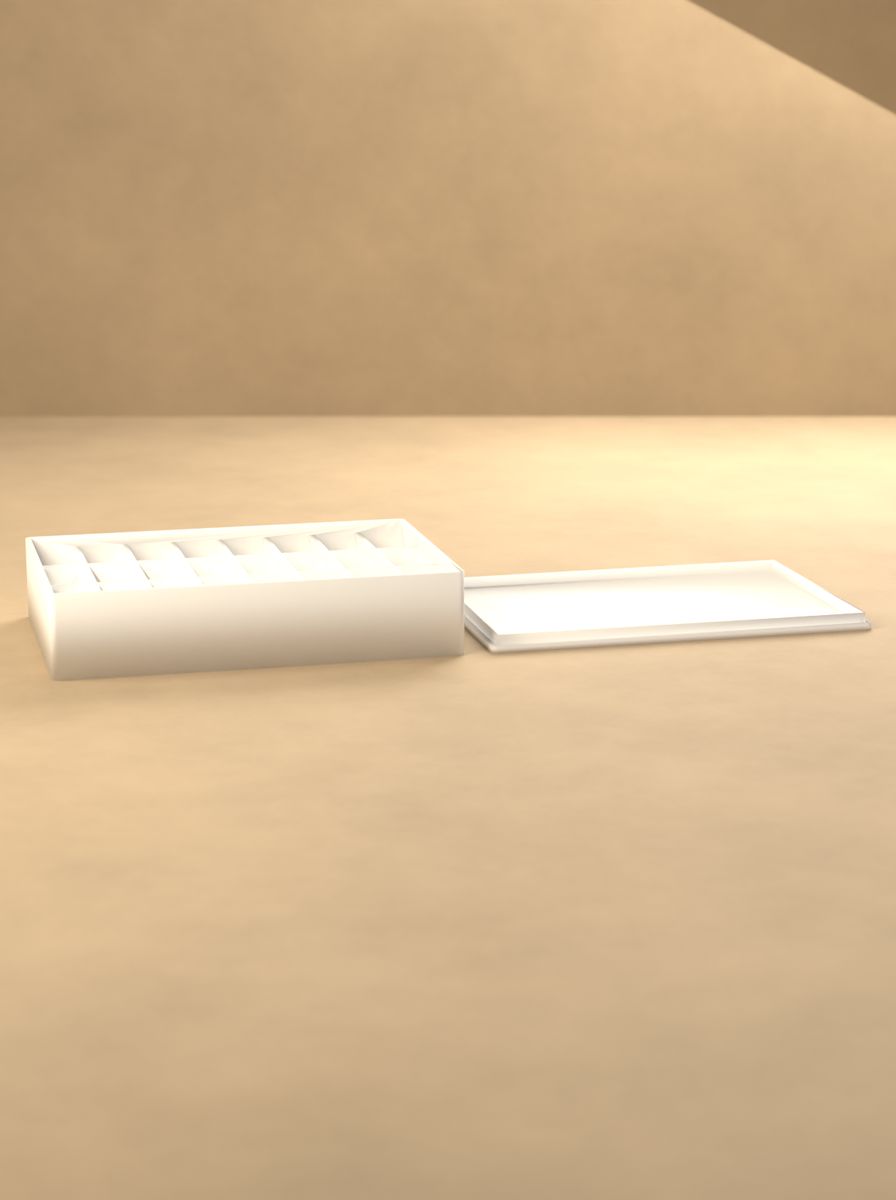 Kapaklı Organizer Kutu (120 × 80 × 25 mm, 8 × 3 Gözlü) görsel 3