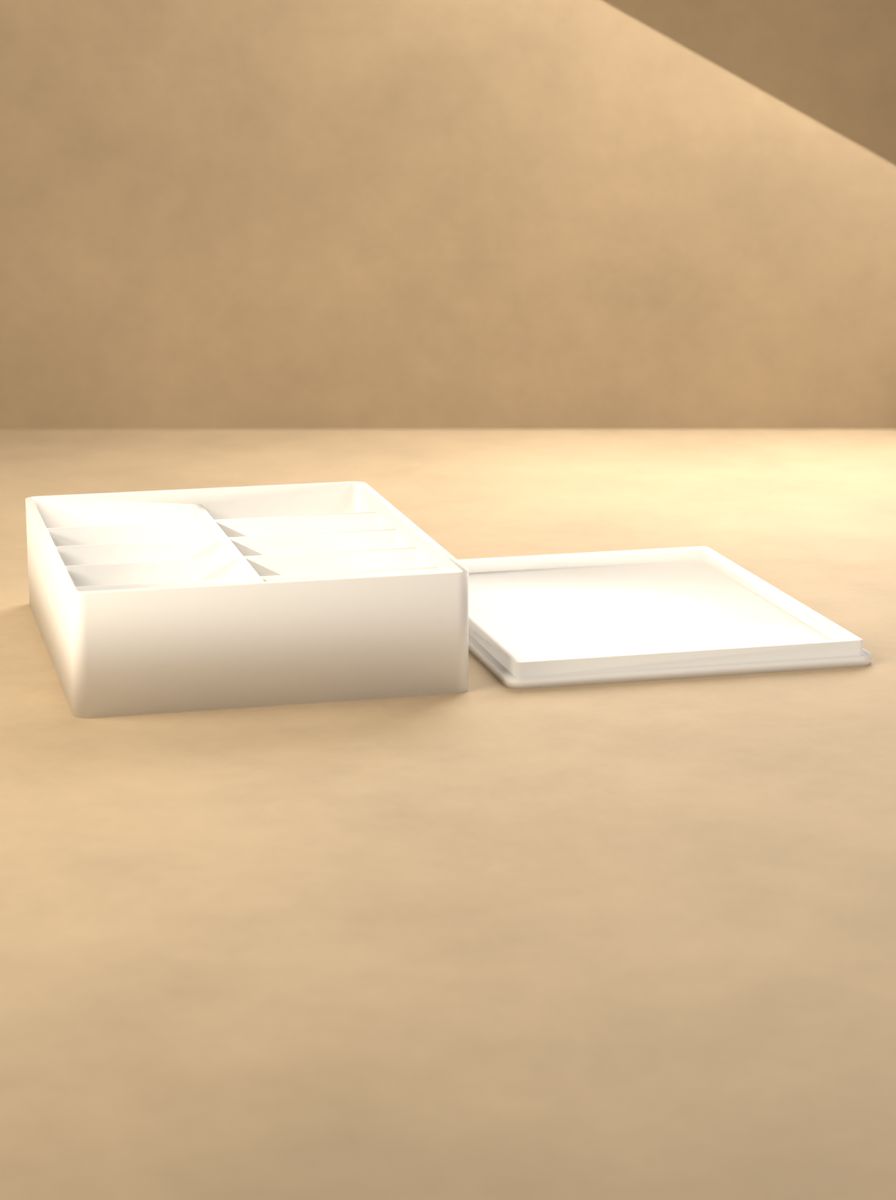Kapaklı Organizer Kutu (80 × 100 × 25 mm, 2 × 5 Gözlü) görsel 3