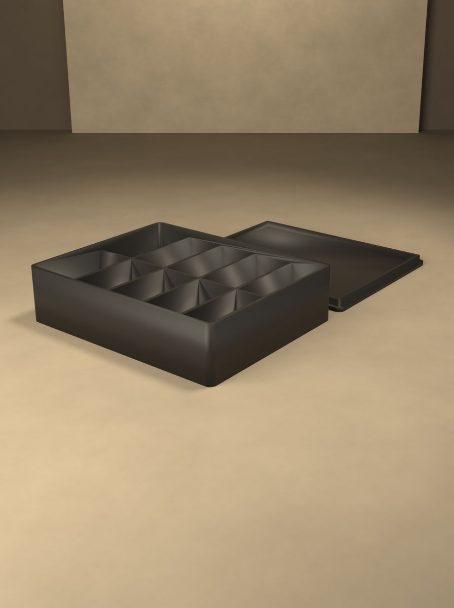 Kapaklı Organizer Kutu (80 × 100 × 25 mm, 2 × 5 Gözlü) görsel 4