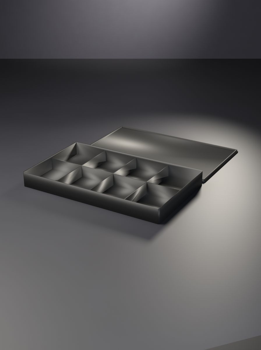 Kapaklı Yassı Organizer Kutu (250 × 150 × 25 mm, 4 × 2 Gözlü)