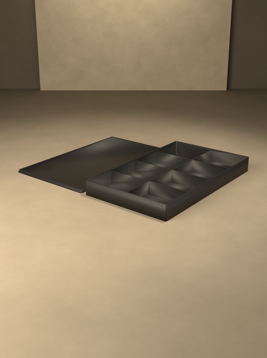 Kapaklı Yassı Organizer Kutu (250 × 150 × 25 mm, 4 × 2 Gözlü) görsel 4