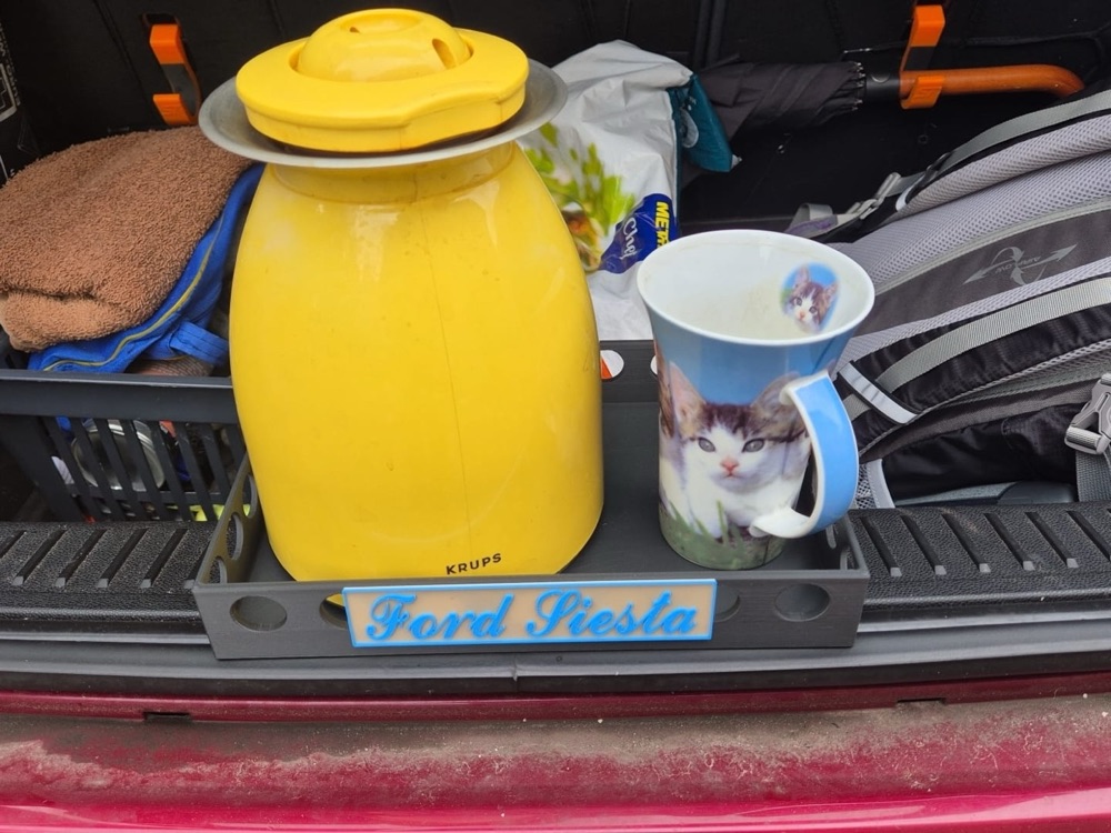 Bagaj Koruma Tepsisi (Ford Fiesta MK7 Uyumlu)