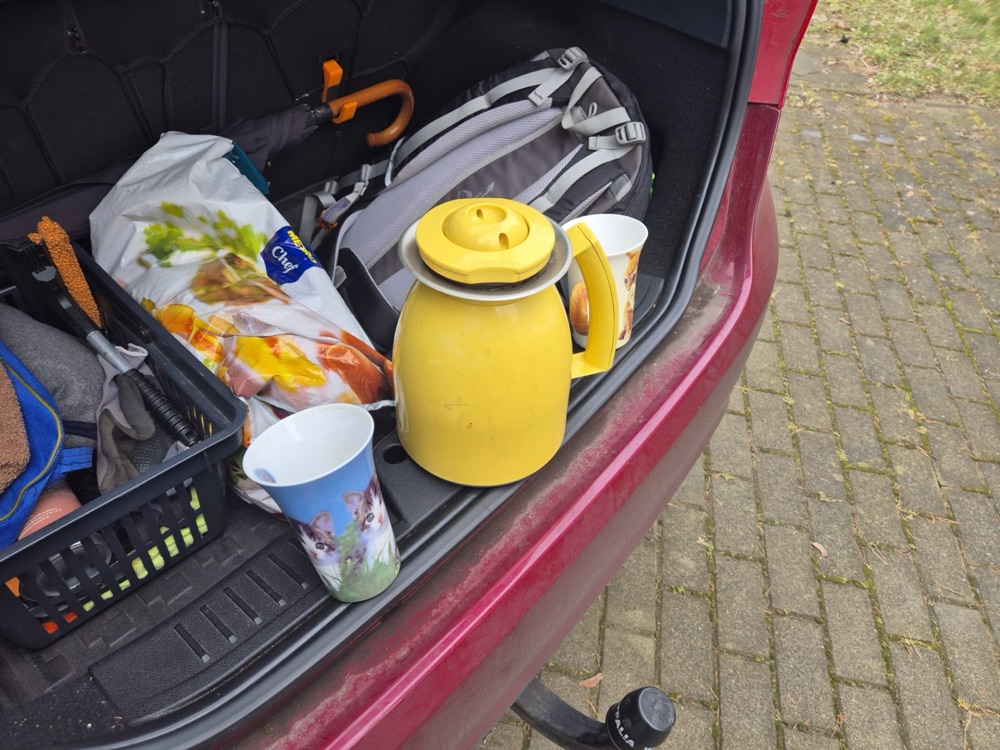 Bagaj Koruma Tepsisi (Ford Fiesta MK7 Uyumlu) görsel 2