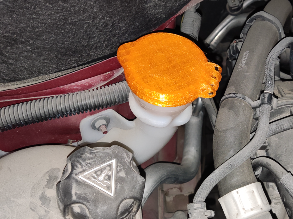 Peugeot 205 Cam Suyu Deposu Kapağı