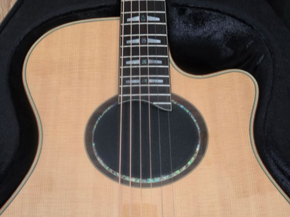 Yamaha APX1200 II Gitar Rezonans Deliği Tapası