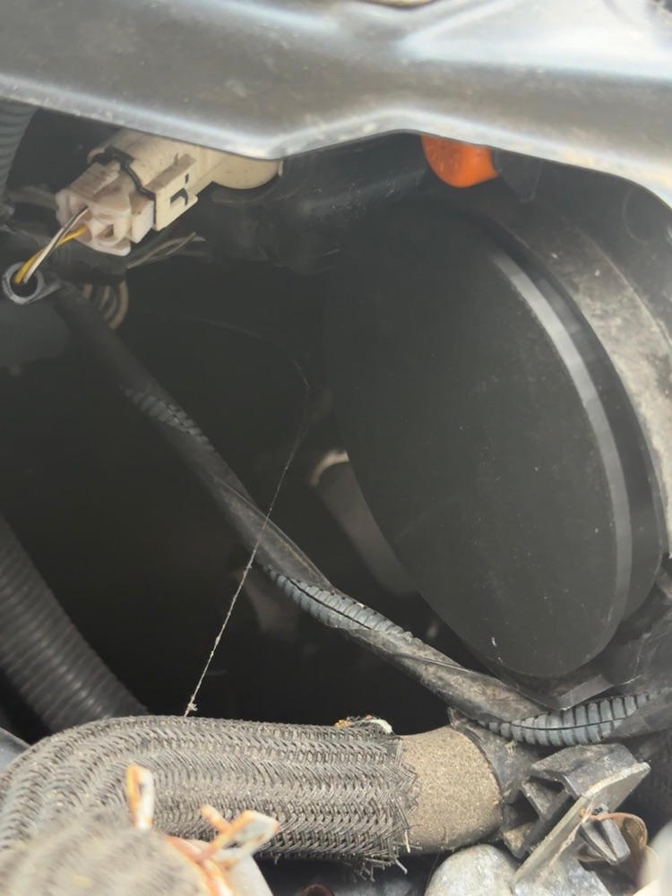 Toyota Auris far kapağı görsel 2