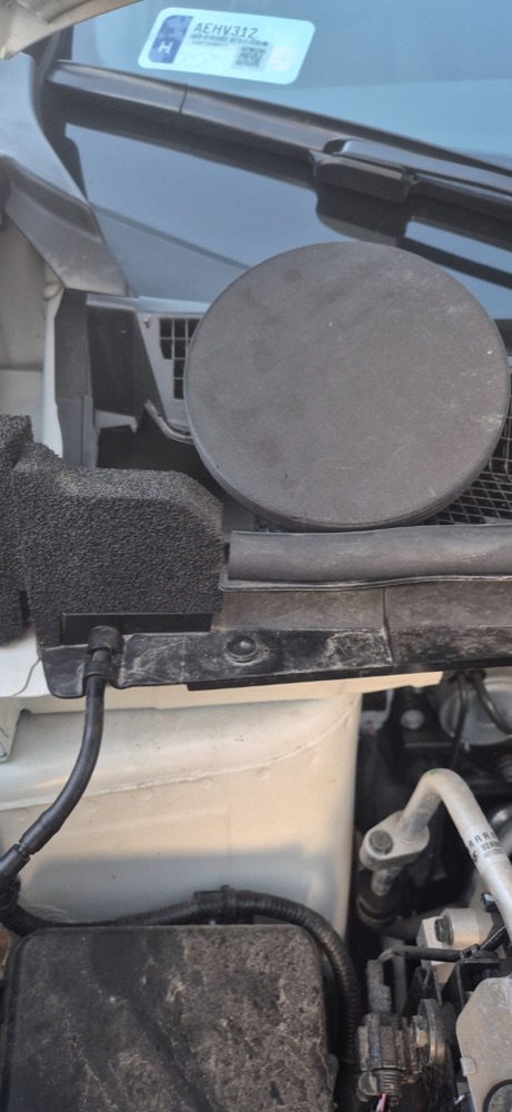 Nissan Leaf Amortisör Üst Yatak (Tower Bearing) Kapağı görsel 2