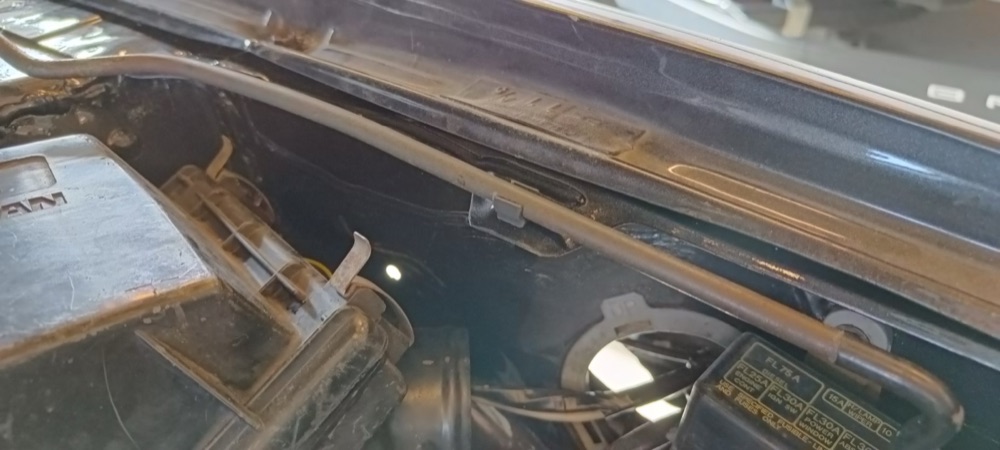 Nissan Sunny kaput klipsi