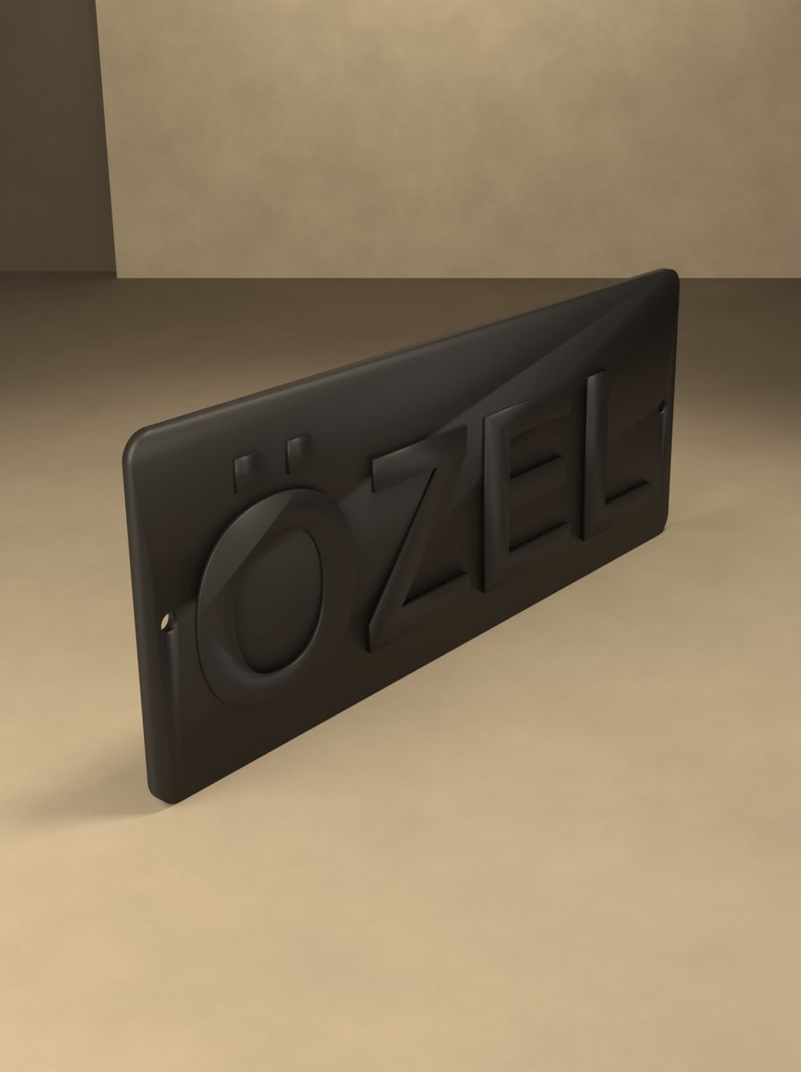 Özel Tabelası (200 × 80 mm, Kabartma Yazılı, Montaj Delikli) görsel 4