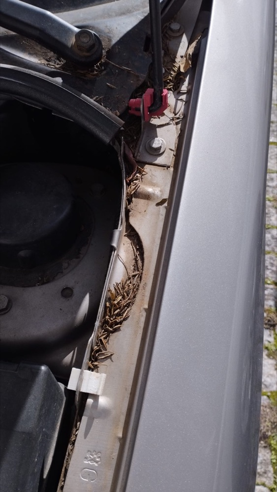 Peugeot 206 Kaput İstinat Demiri Klipsi ve Menteşesi görsel 2
