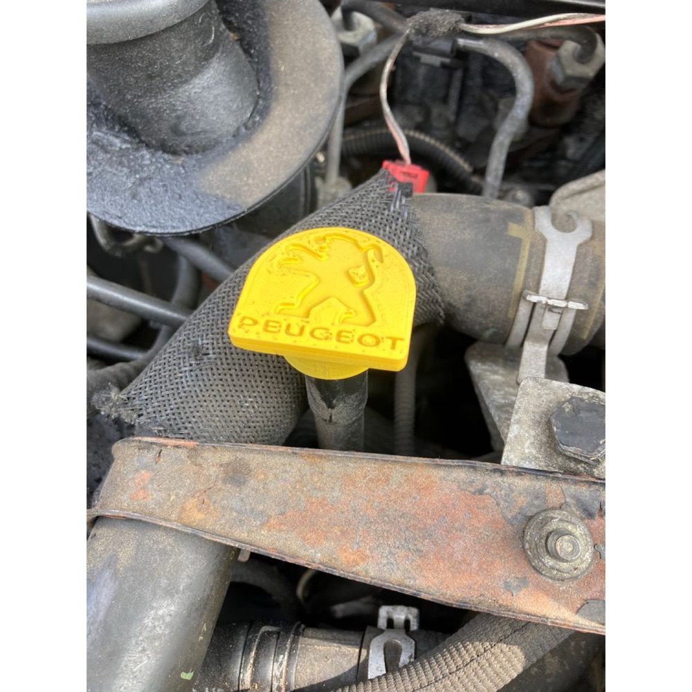 Peugeot 307 2.0 HDi Yağ Çubuğu Başlığı