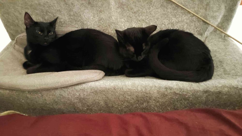 Kedi Yatağı Boru Bağlantı Parçaları (16 mm Borular İçin Köşe ve Ara Bağlantılar) görsel 4