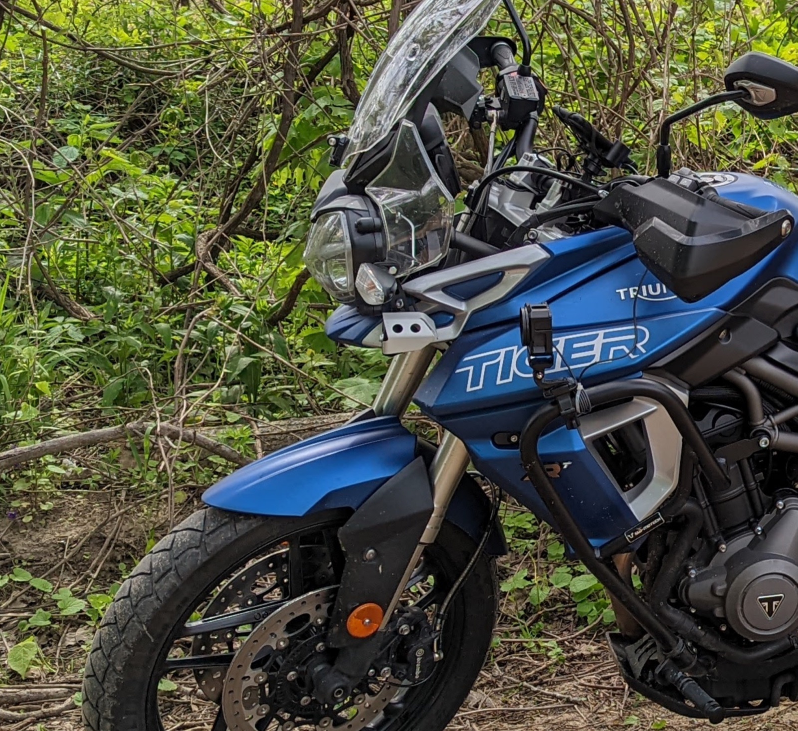 Triumph Tiger Sinyal Körükleme Plakaları