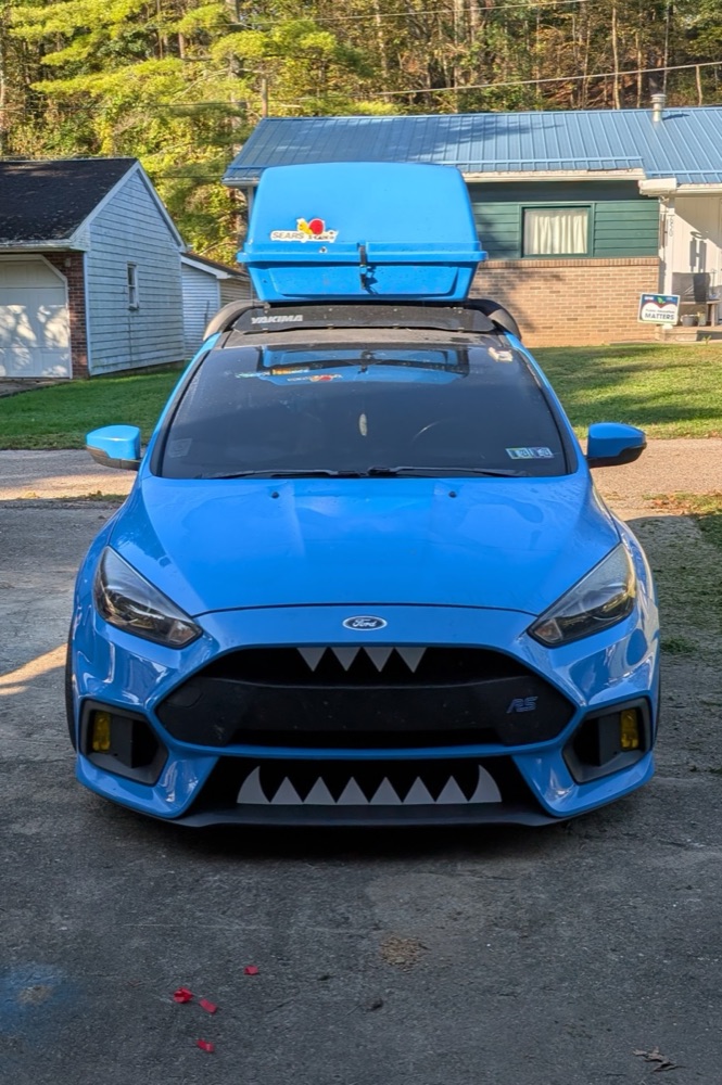 Ford Focus RS Izgara Kenar Tırtlakları