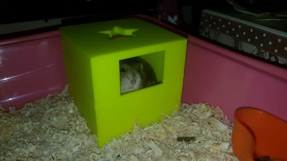 Hamster Banyosu (İki Parçalı, Yıldız Delikli) görsel 1