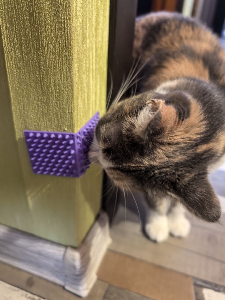 Kedi Tırmalama Pedi (Köşeye Uyan Esnek Bağlantılı, İki Boy)