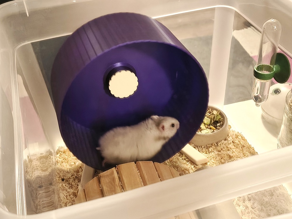 Hamster Koşu Tekerleği (210 mm, Rulmansız, Ayaklı) görsel 3