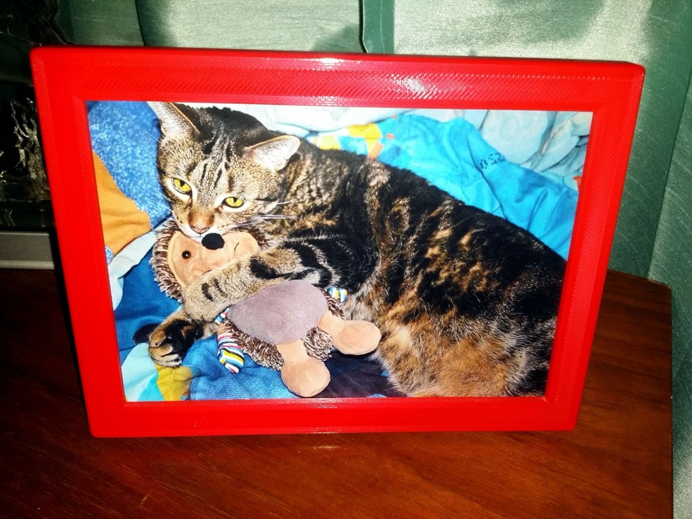 Kırmızı 5×7 Ayaklı Masa Fotoğraf Çerçevesi (Kedi Desenli Seçenekli) görsel 1