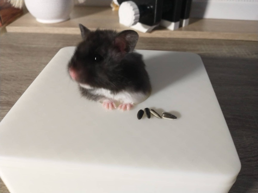 Hamster Kum Banyosu (Kapaklı, Üstten Delikli Kare Kutu)