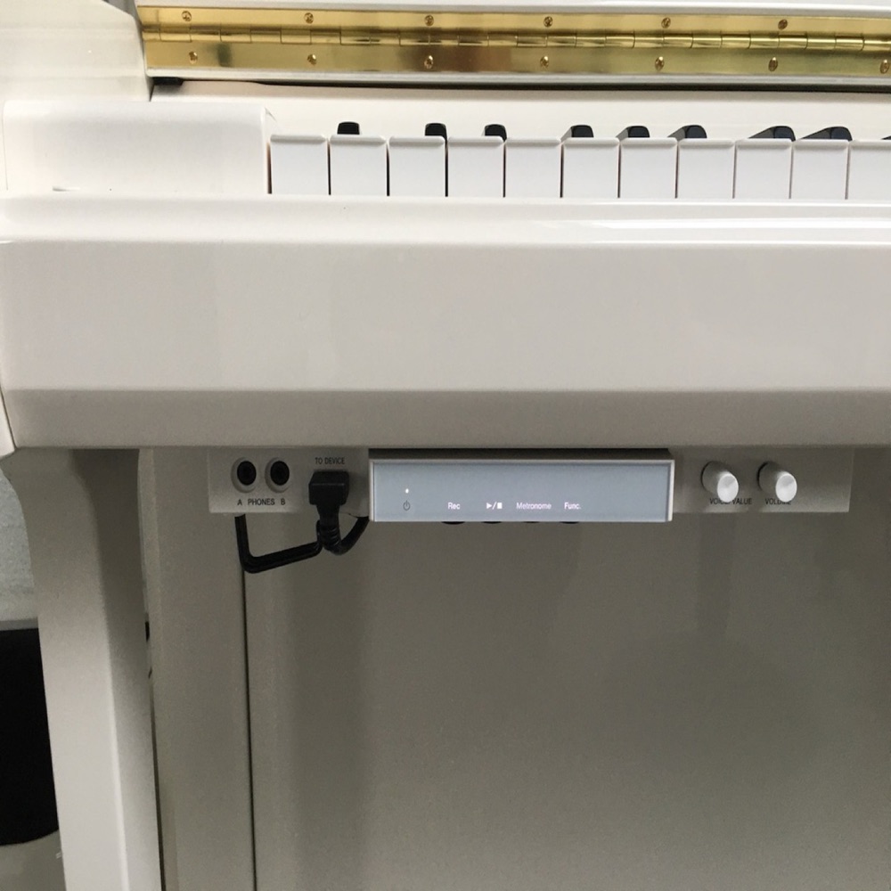 Yamaha UD-WL01 Kablosuz Adaptör Tutucusu görsel 3