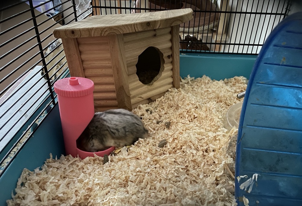 Hamster Yemliği (Göstergeli, Dikey Hazneli, Vidalı Kapaklı)