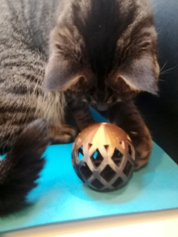 Kafes Desenli İçi Görünen Kedi Topu (7 cm, Tek Parça)