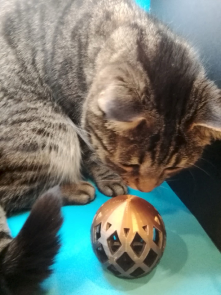 Kafes Desenli İçi Görünen Kedi Topu (7 cm, Tek Parça) görsel 3