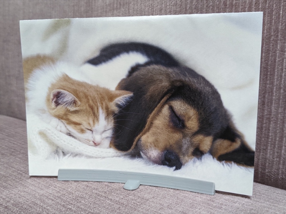 Basit Fotoğraf ve Kartpostal Ayaklığı (Çentikli Düz Ayak)