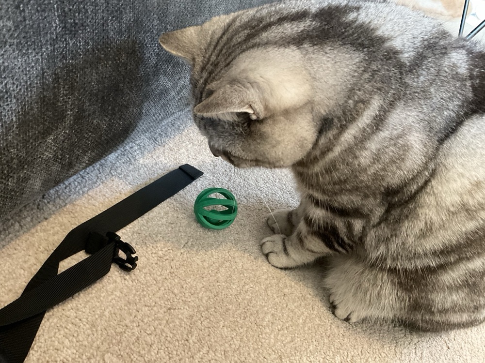 Kafesli Top Kedi Oyuncağı (İçine Küçük Top Yerleştirilen) görsel 4