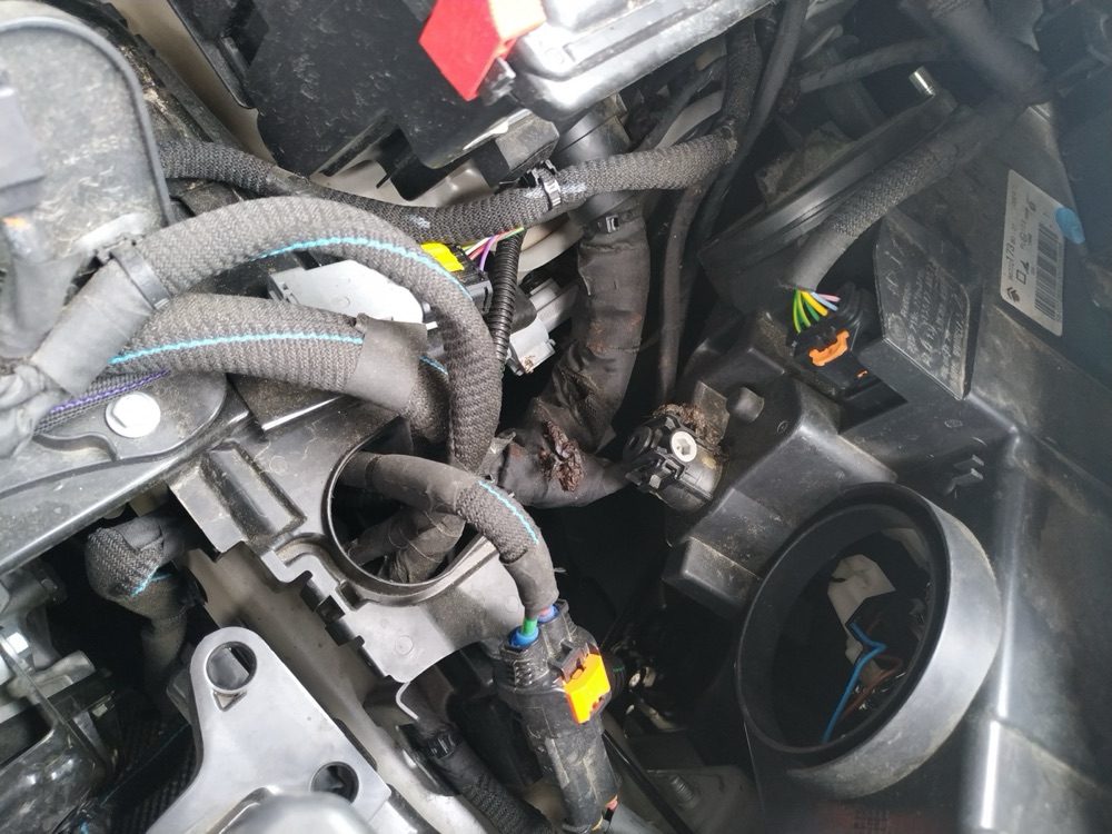 Citroen C4 far kapağı görsel 2