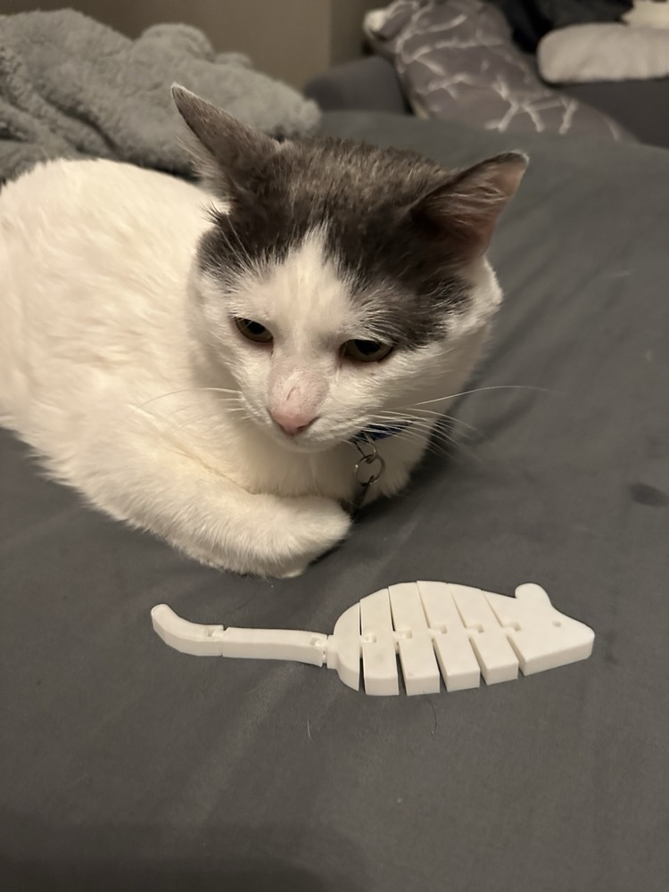 Eklemli Fare Kedi Oyuncağı (Hareketli Gövde, Tek Parça)