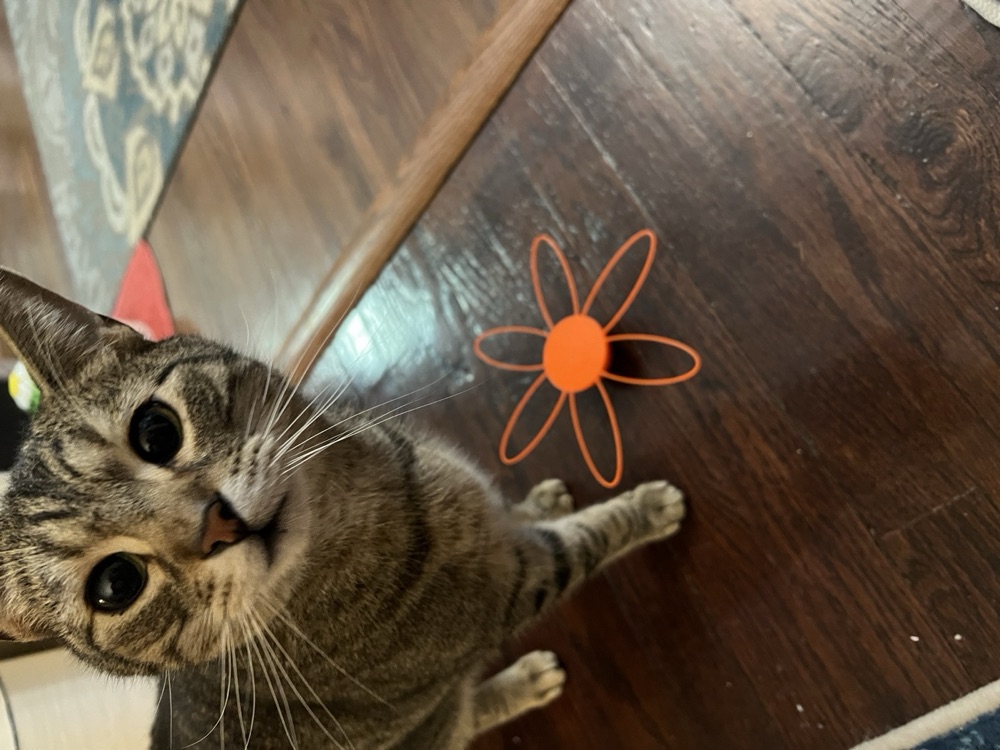 İnce Uzun Uçlu Çiçek Biçimli Kedi Oyuncağı (Tek Parça) görsel 2