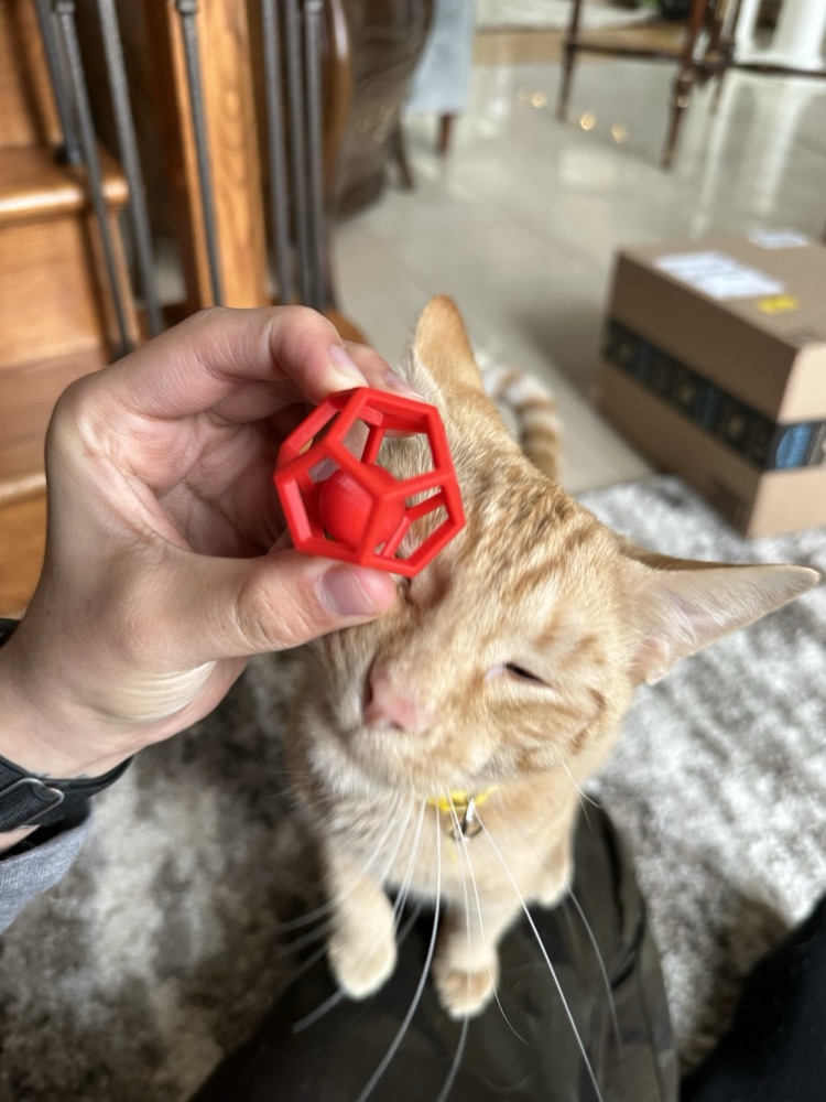 Çıngıraklı Çokyüzlü Kafes Kedi Oyuncağı (İçinde Hapsolmuş Top) görsel 2
