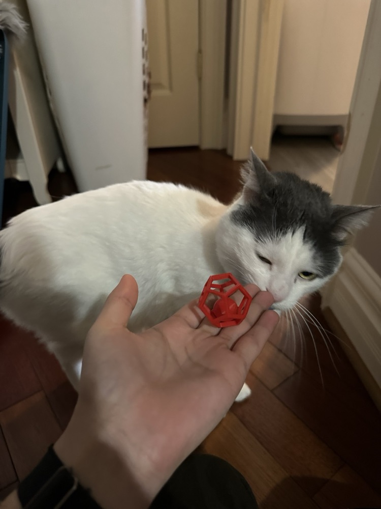 Çıngıraklı Çokyüzlü Kafes Kedi Oyuncağı (İçinde Hapsolmuş Top) görsel 3