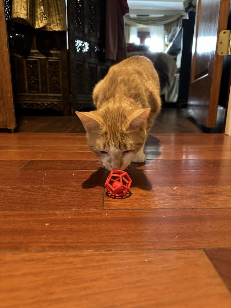 Çıngıraklı Çokyüzlü Kafes Kedi Oyuncağı (İçinde Hapsolmuş Top) görsel 4