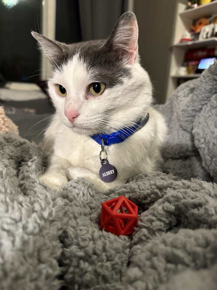 Çıngıraklı Yirmi Yüzlü Kedi Oyuncağı (İçinde Serbest Top) görsel 3