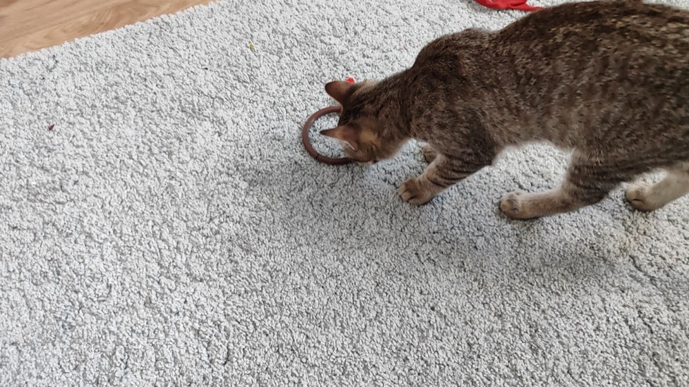 Halkalı Fare Kedi Oyuncağı (Anahtarlık Mantığıyla Takılan Fareler) görsel 2
