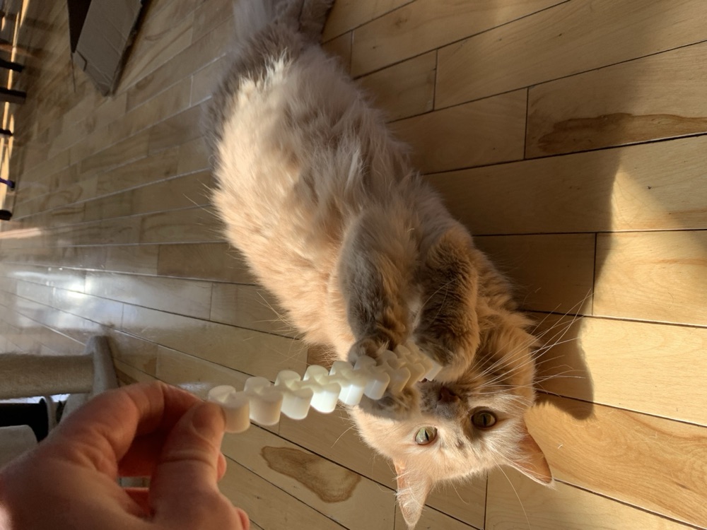 Esnek Halkalı Zincirli Kedi Oyuncağı (Sallanan, Tek Parça)